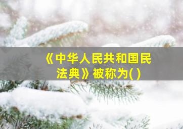 《中华人民共和国民法典》被称为( )